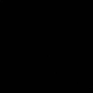 Meet your Posher, Audrey